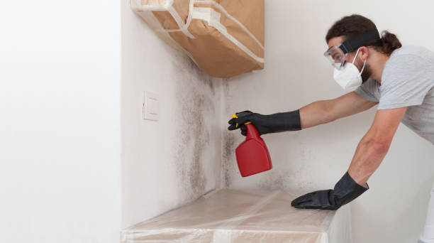Professional Mold Testing technician working in Allentown, NJ