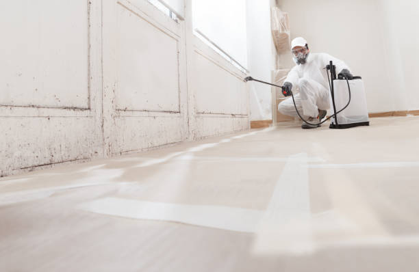 24/7 Emergency Mold Testing experts in Allentown, NJ