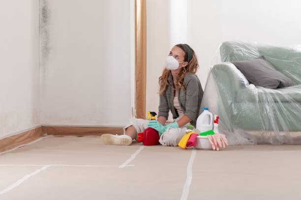 Reliable Mold Remediation contractor in Allentown, NJ by Cheap Mold Removal