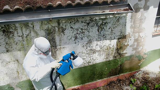 Trusted Mold Testing service in Allentown, NJ - Cheap Mold Removal
